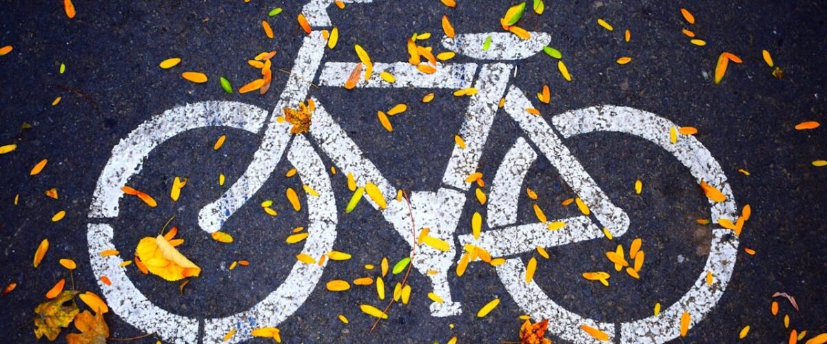 De beste keuze voor woon werkverkeer